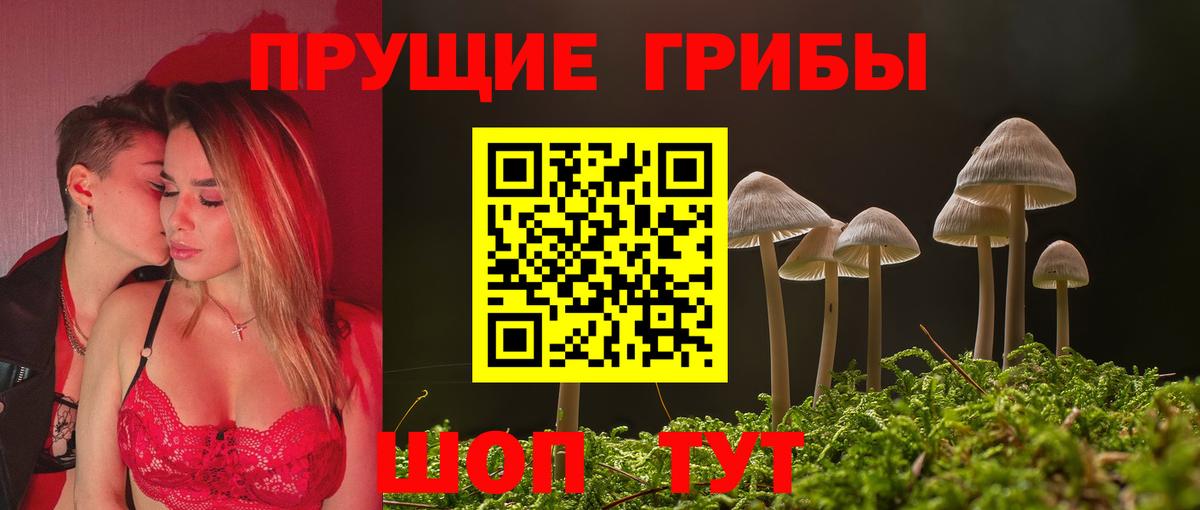 Галлюциногенные грибы Psilocybine cubensis Лысьва